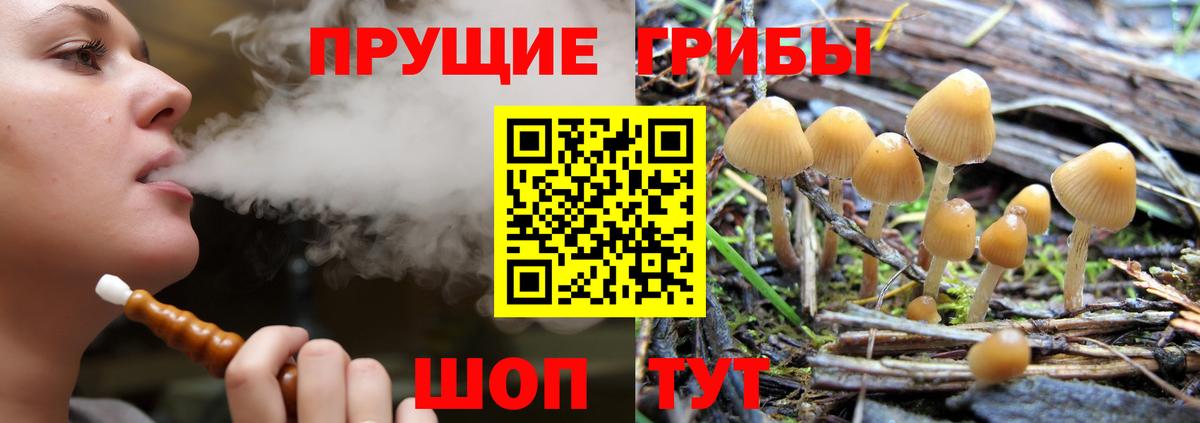 Галлюциногенные грибы мухоморы  Галлюциногенные грибы мицелий  Вход с VPN  Волгоград 